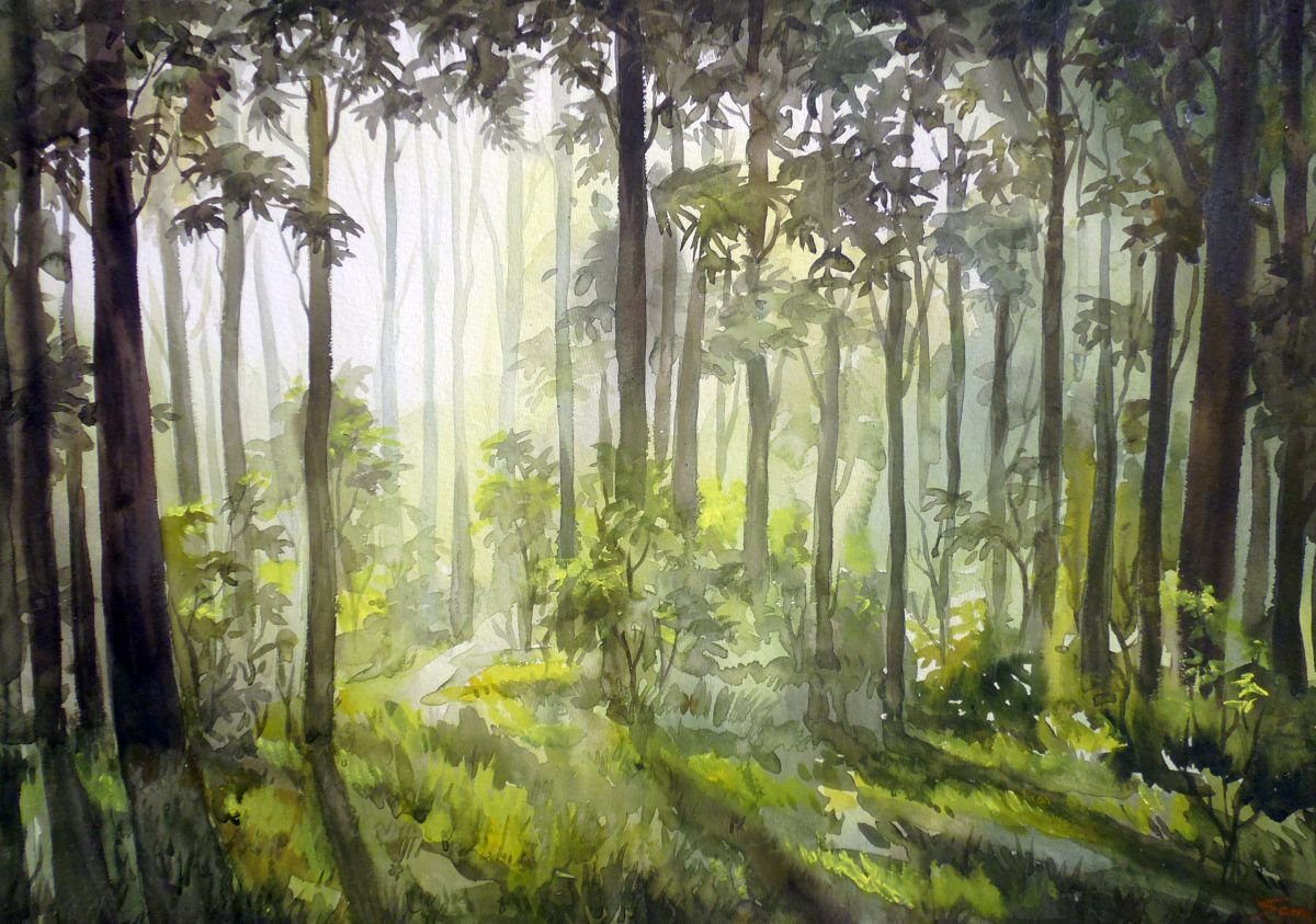 Early Morning light in Forest-Watercolor on Paper by Samiran Sarkar