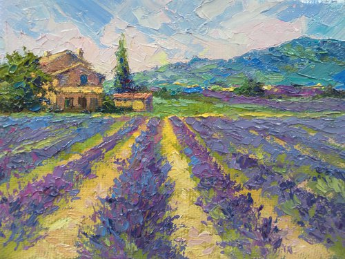 Lavender in Tuscany. by Natalia Kakhtiurina