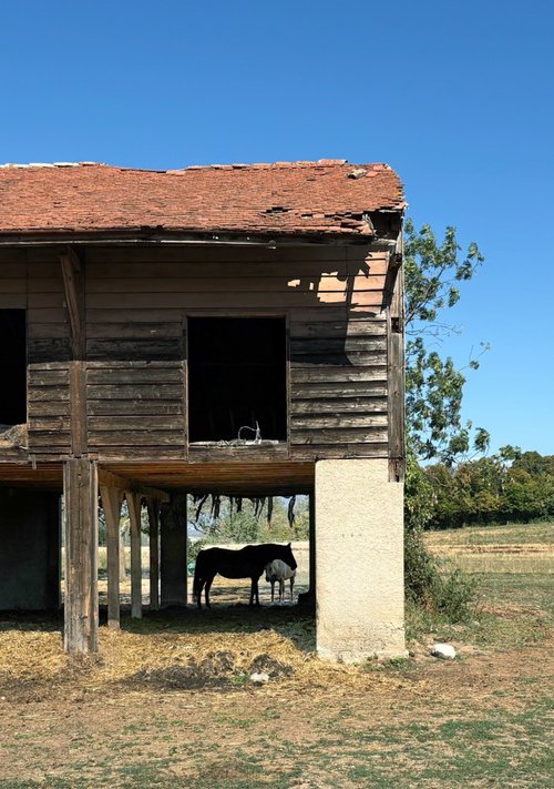 Barn secrets by Samira Malik