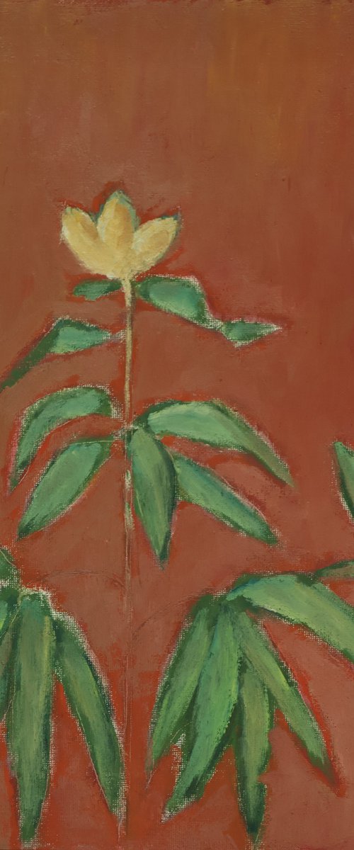 Peony by Elena Zapassky