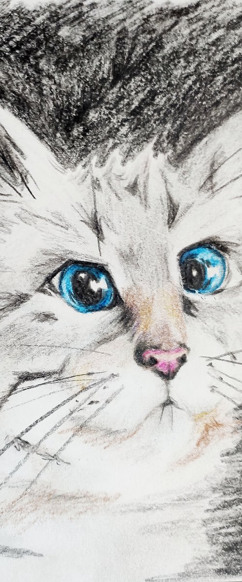 Funny cat. Pencil drawing by Svetlana Vorobyeva by Svetlana Vorobyeva