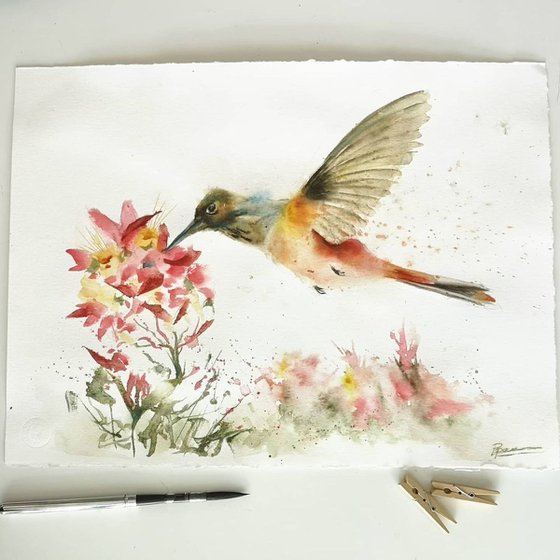 Hummingbird