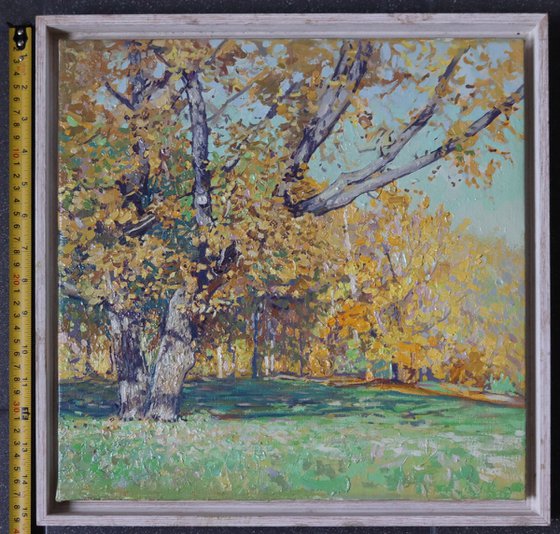 Oak tree in Tsaritsyno in October