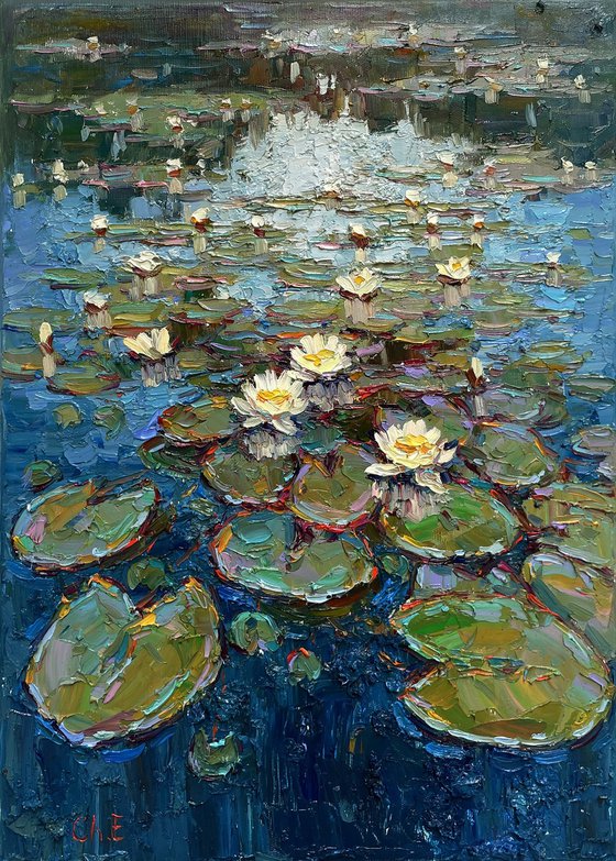"Water lilies pond"