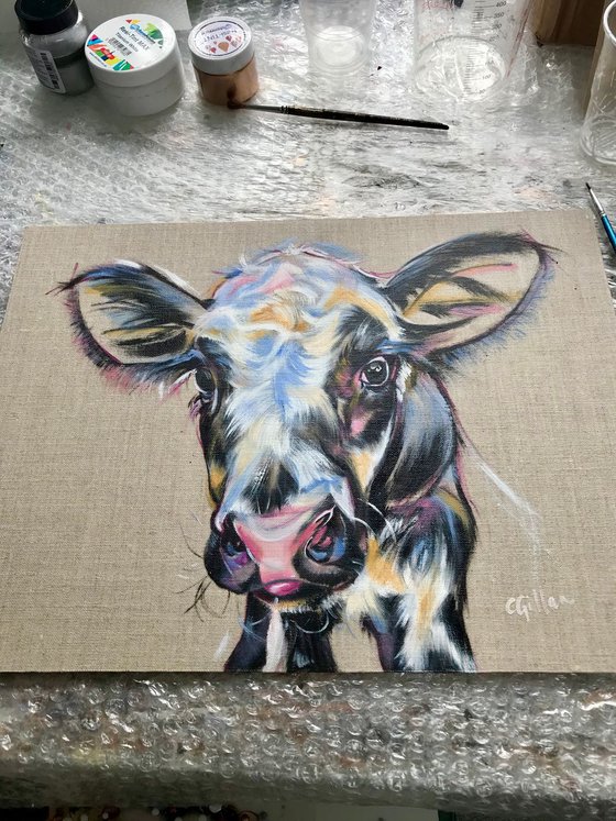 Princess - Black & White Calf Cow original oil painting on linen on board