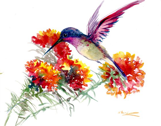 Hummingbird