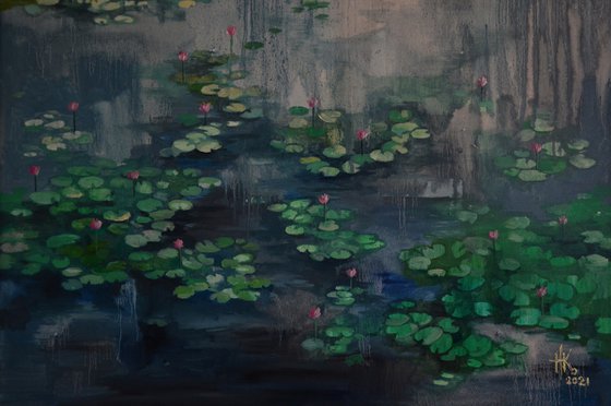 Lily pond. Petrichor