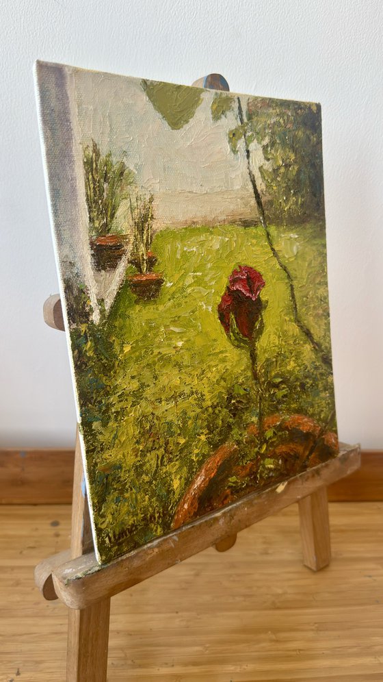 Flowers from my garden 5