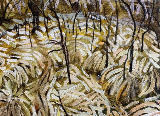 Dry Grasses