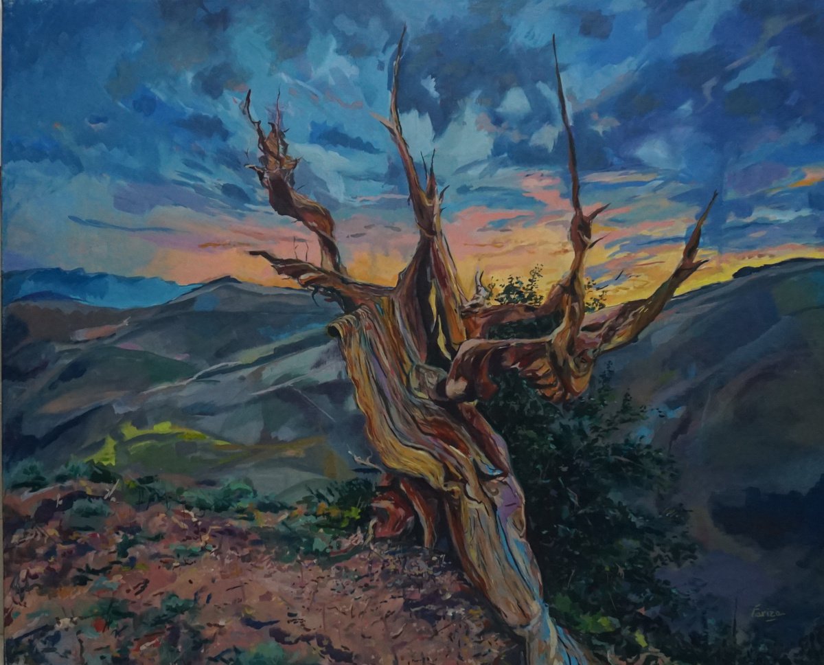 Impressionistic Landscape Oil Painting By Amaya Fernandez Fariza, 39 X 32, Living Nature 1, Original Artwork