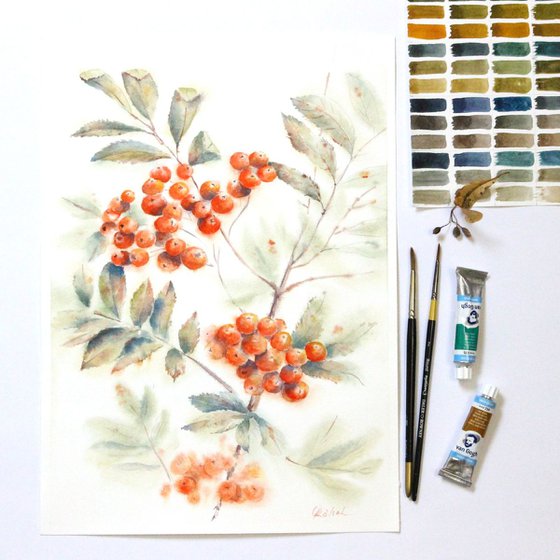 Watercolor Rowan