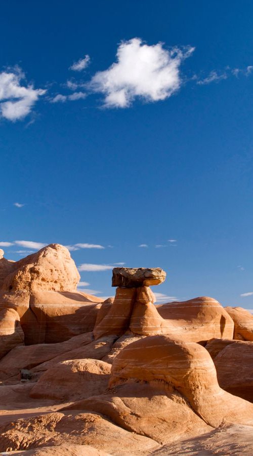 The Toadstool Rocks by Alex Cassels