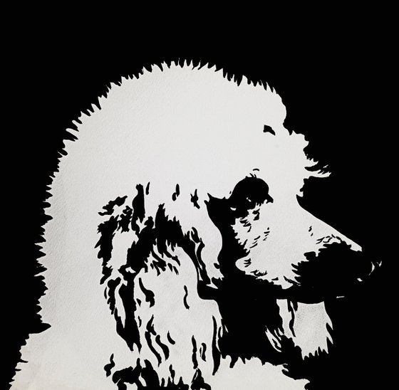 Standard Poodle III