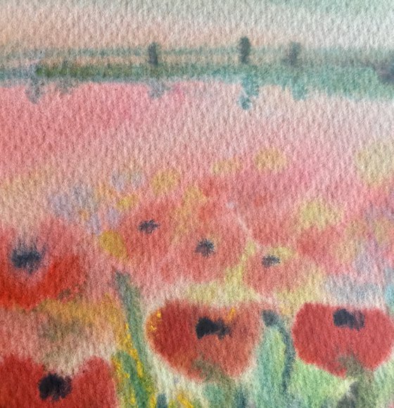 Poppy landscape