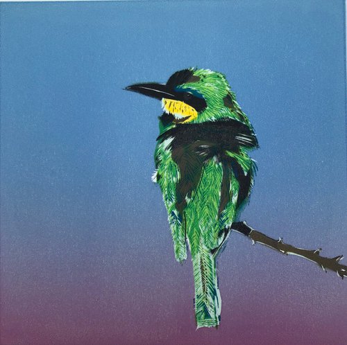 Little Bee-eater, Twilight by Marian Carter