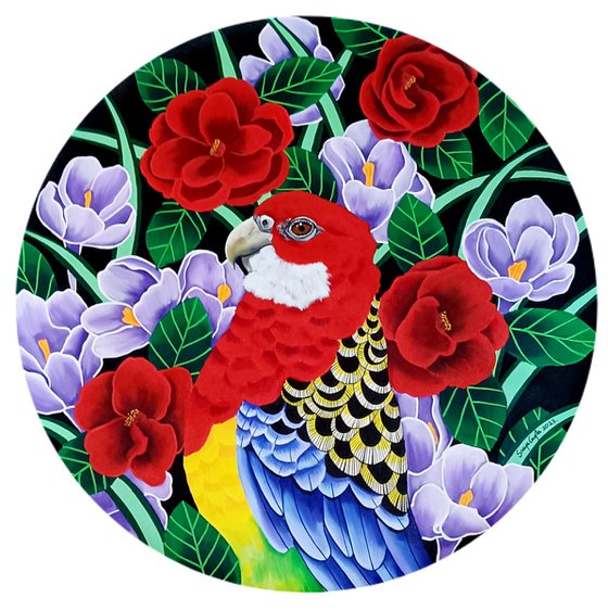 Rosella Rhapsody