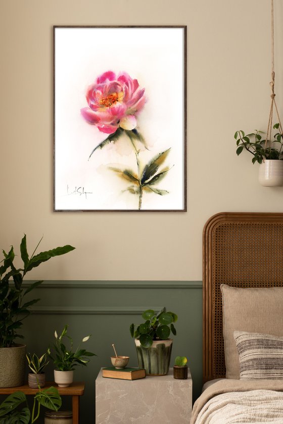Pink Peony