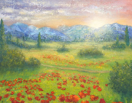 Poppy field in summer