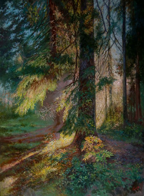 Morning forest by Eduard Panov
