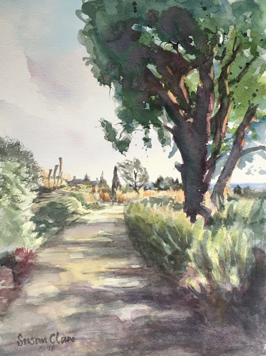 Path to the Lookout, Hyde Hall by Susan Clare