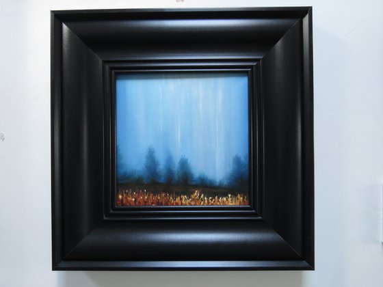 light within the storm, study 1