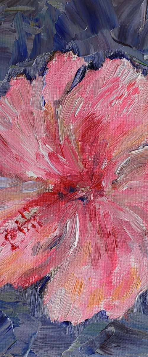 Pink Hibiscus by Elena Zapassky