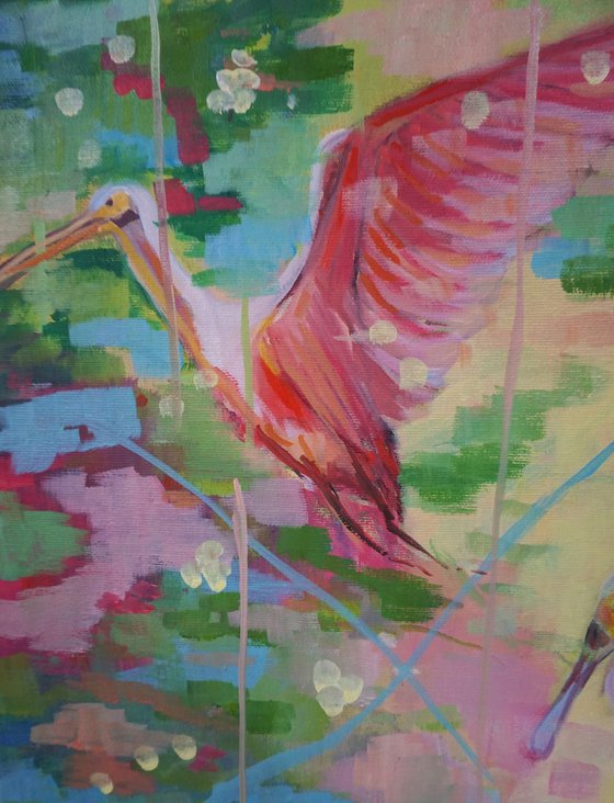 Pink Birds