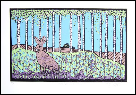 Hare and Bluebells