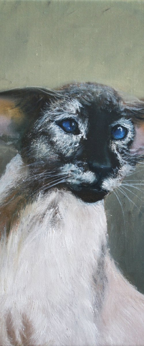 Oriental cat I - Pet portrait /  ORIGINAL PAINTING by Salana Art