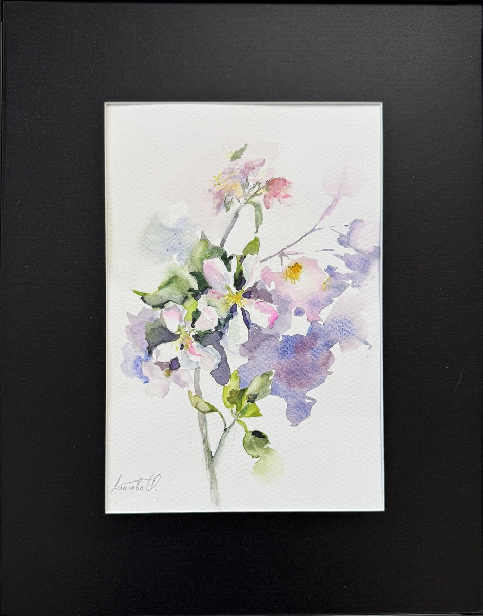 Graphic Botanical Drawing By Olha Laptieva, 11 X 14", Apple Blossom, Original Artwork