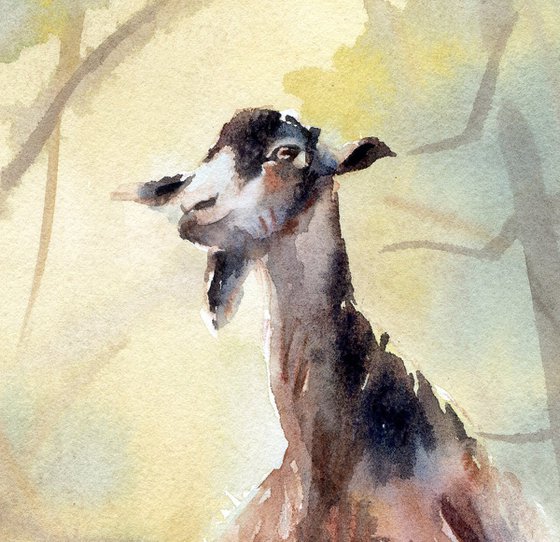 Wild goat in the Avakas gorge Watercolor nature of Cyprus