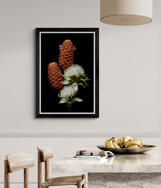 White Waratah & Beehive Ginger