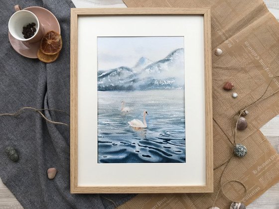 Swans on the lake