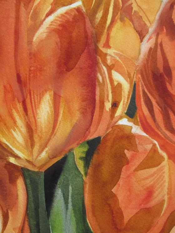 Golden tulips in spring