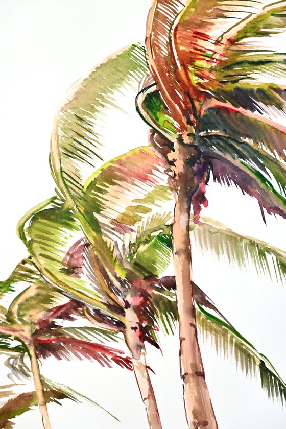 Wind on Tropical Islan, Coconut Palm Trees