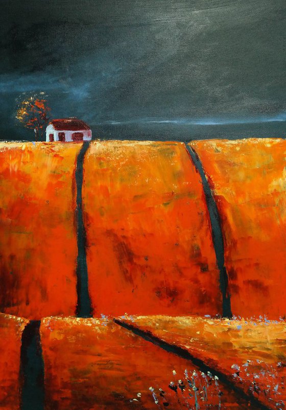 The Orange and the storm