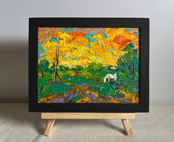 Watch the bright sunset