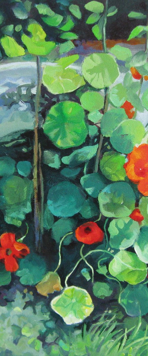 Nasturtiums by Elena Oleniuc