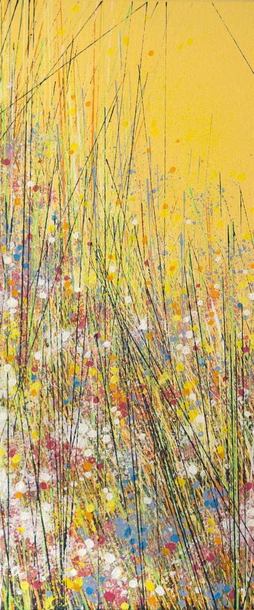 Late Summer Colours by Marc Todd