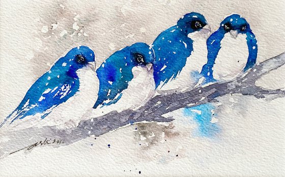 Four winter Birds