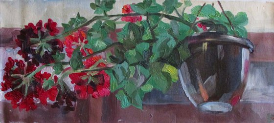 Garden flowers