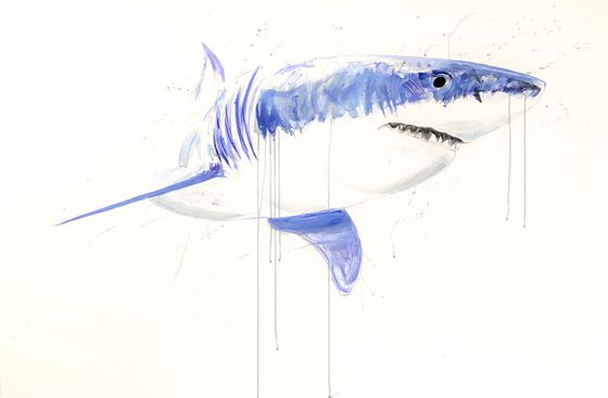 Great White IV, 2018