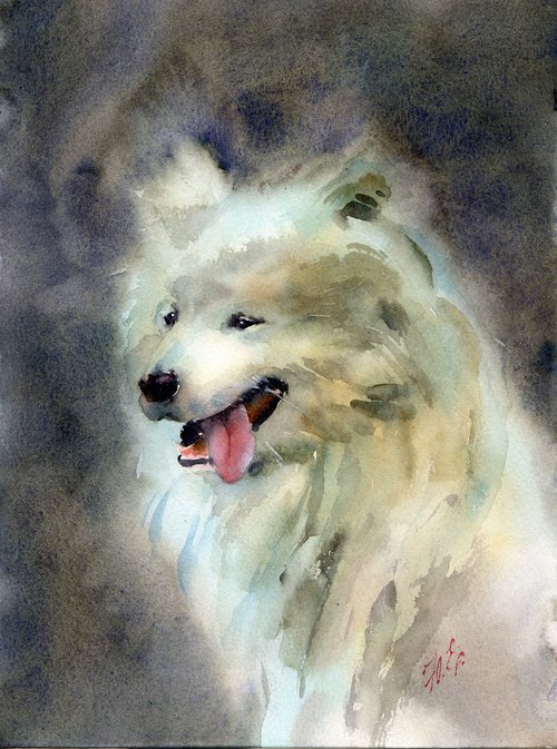 White Samoyed dog in watercolor by Yulia Evsyukova