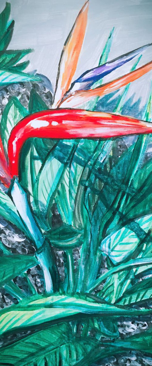 SOLO-BIRD OF PARADISE by HSIN LIN