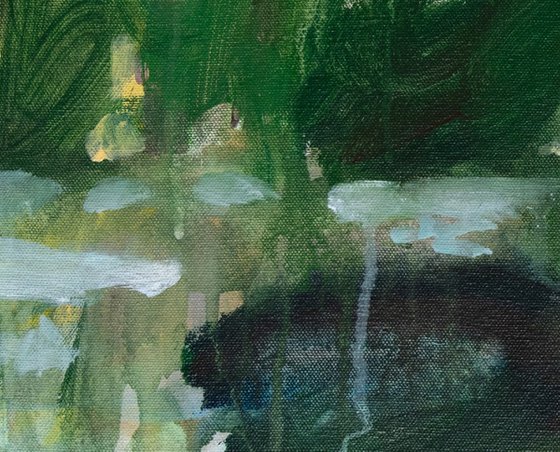 Pond 3