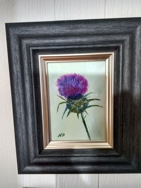 Thistle on Green