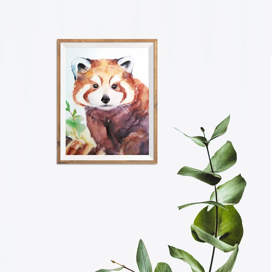 Red panda artwork, watercolor illustration