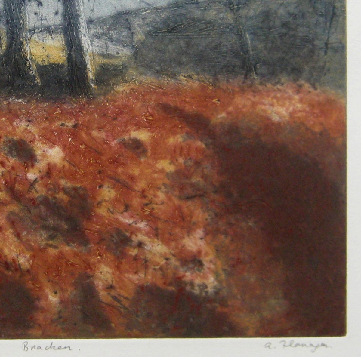 Impressionistic Landscape Etchings & Engravings By Aidan Flanagan Irish Landscapes, 16 X 16, Bracken - Irish Landscape, Artfinder