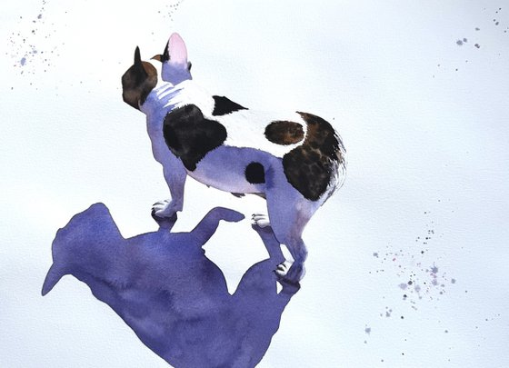 Black White Dog French Bulldog