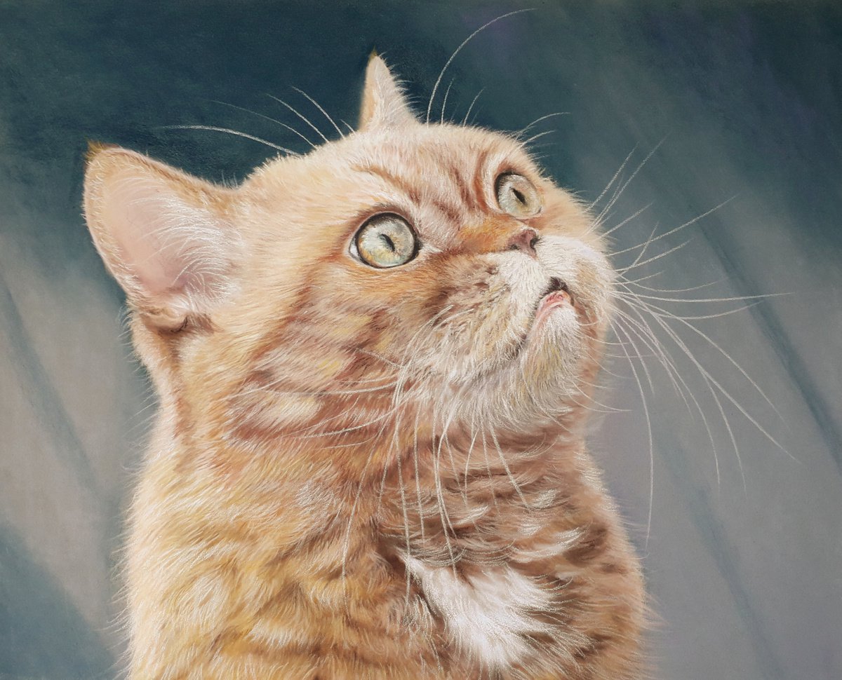 Yellow Cat by Semire Akyaz?